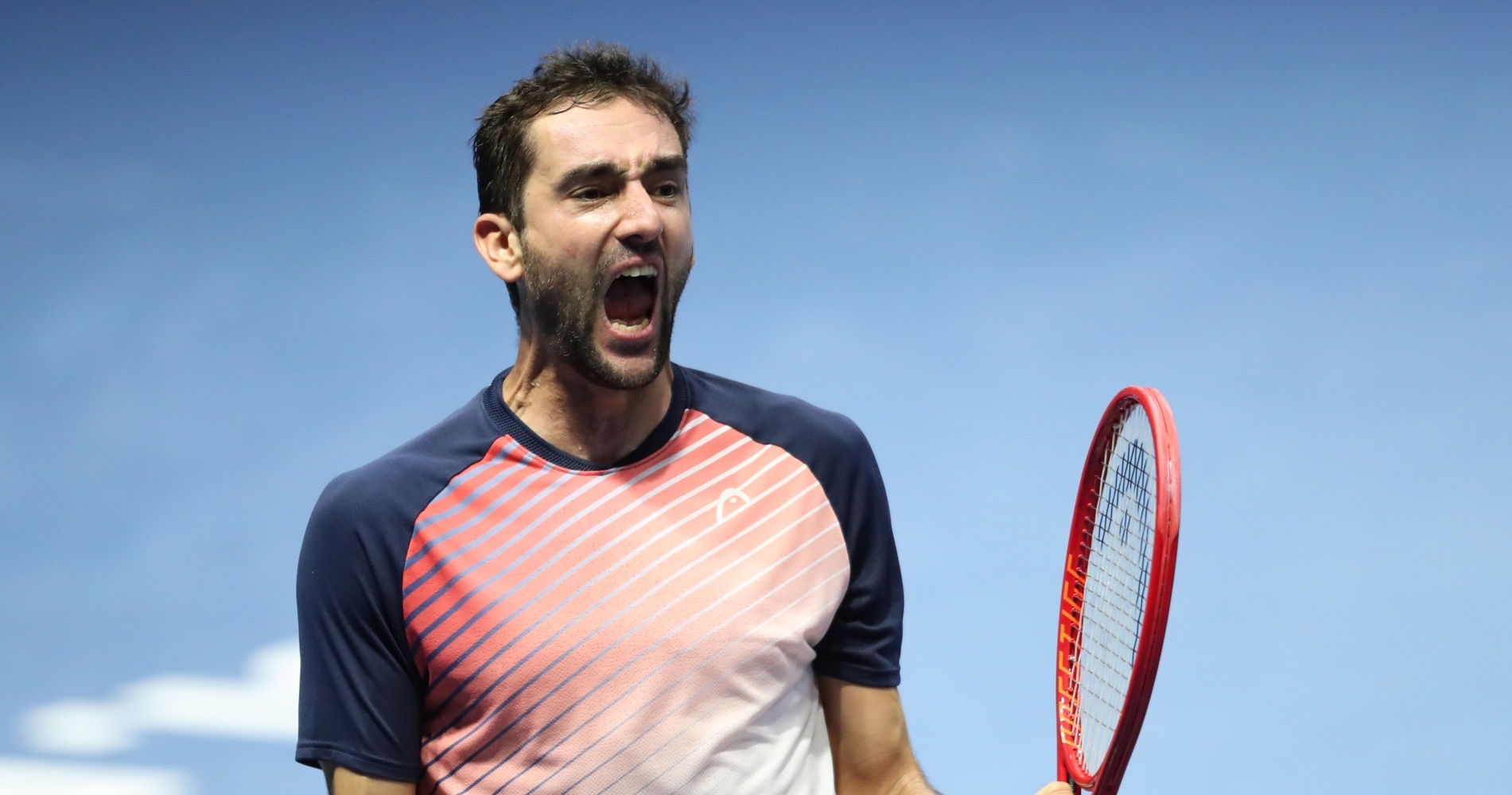 Cilic vient à bout de Fritz et remporte son 20e titre