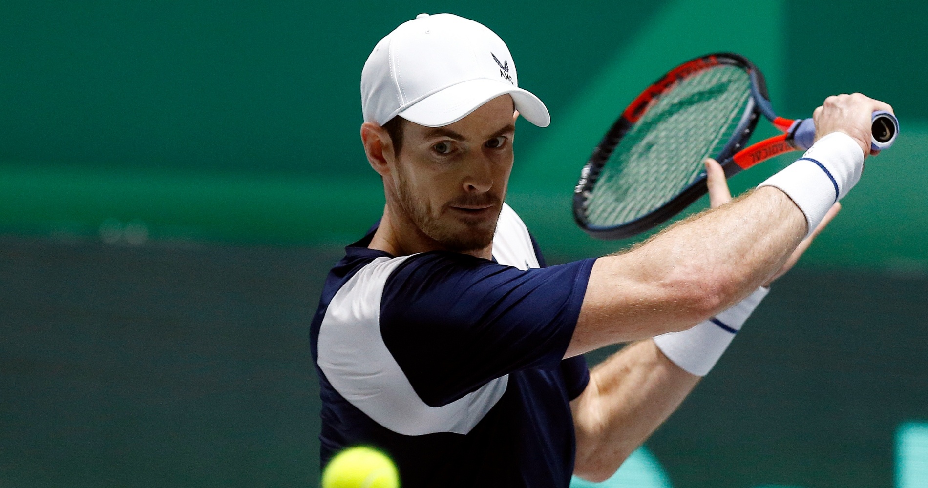 Andy Murray (Great Britain), 2019 Davis Cup