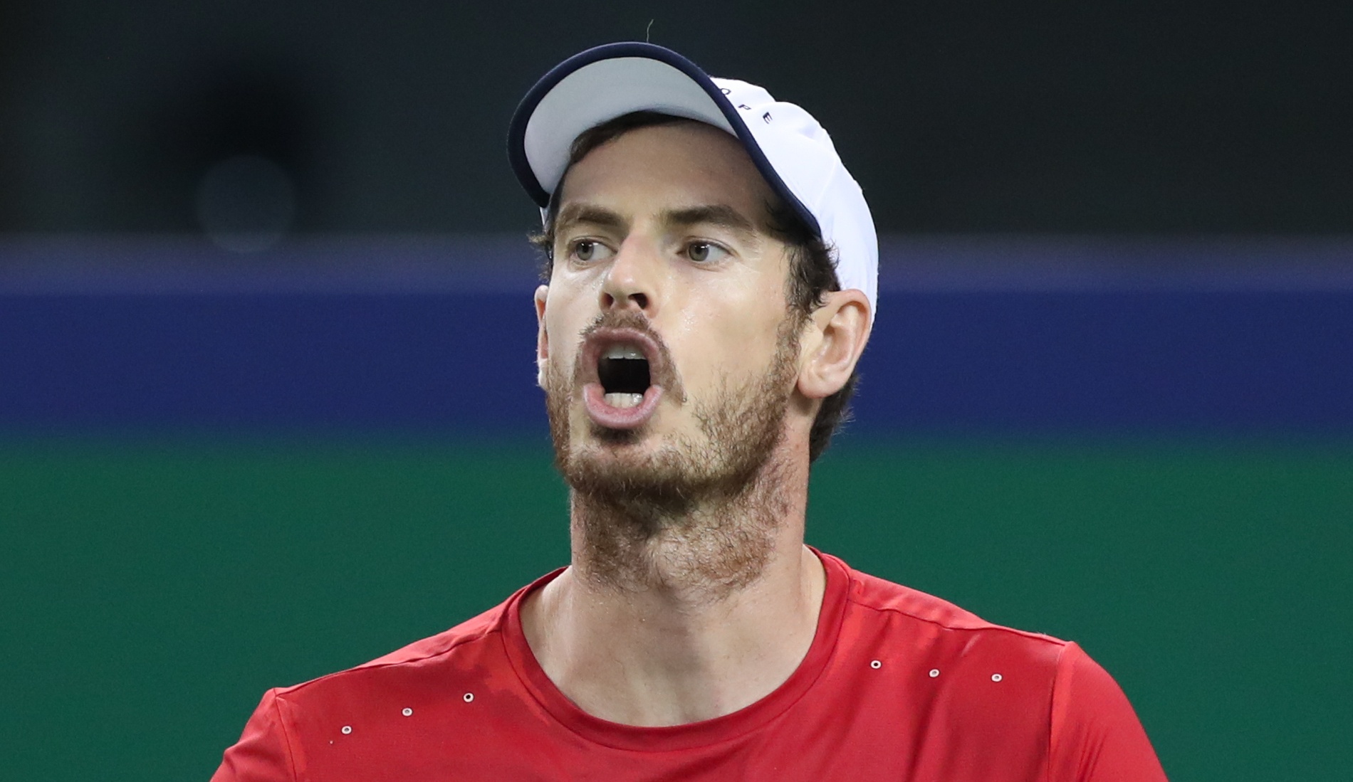 Andy Murray in 2019
