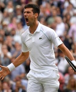 Novak Djokovic, Wimbledon 2015