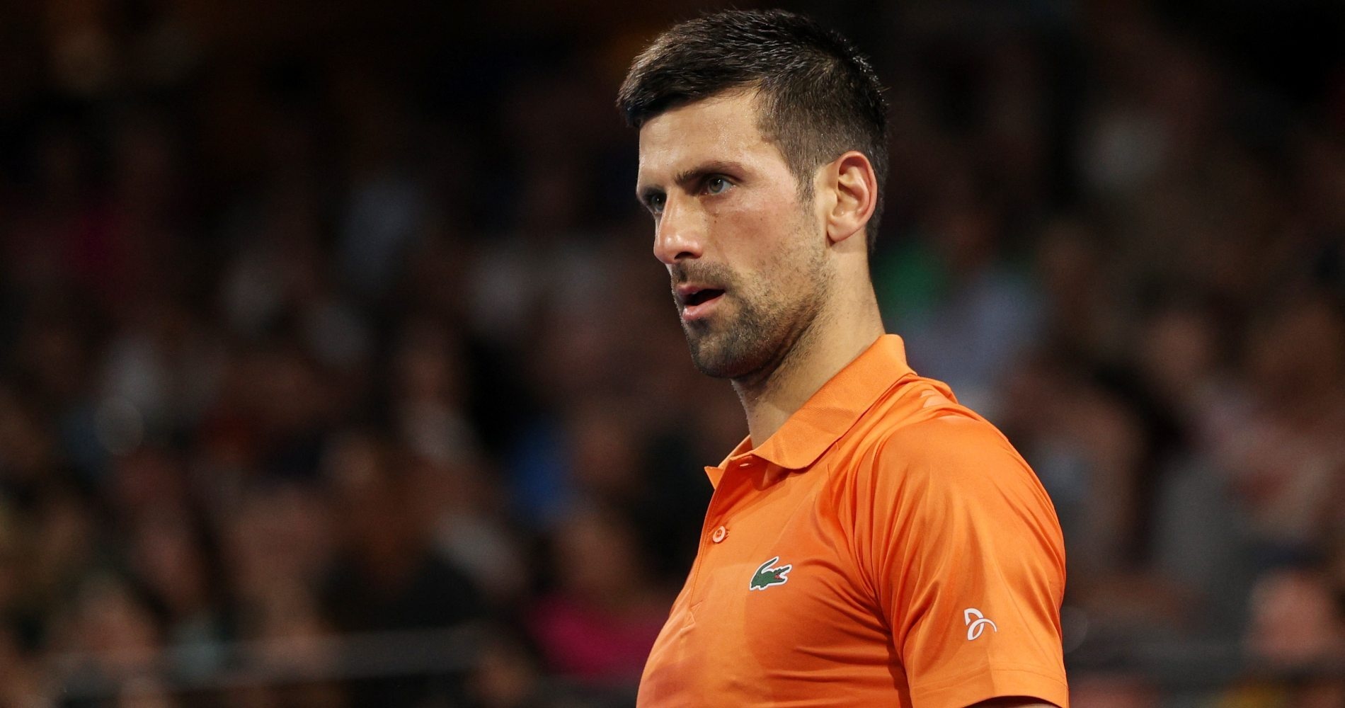 Djokovic Korda Le Score Et Les Stats De La Finale Dadelaide En