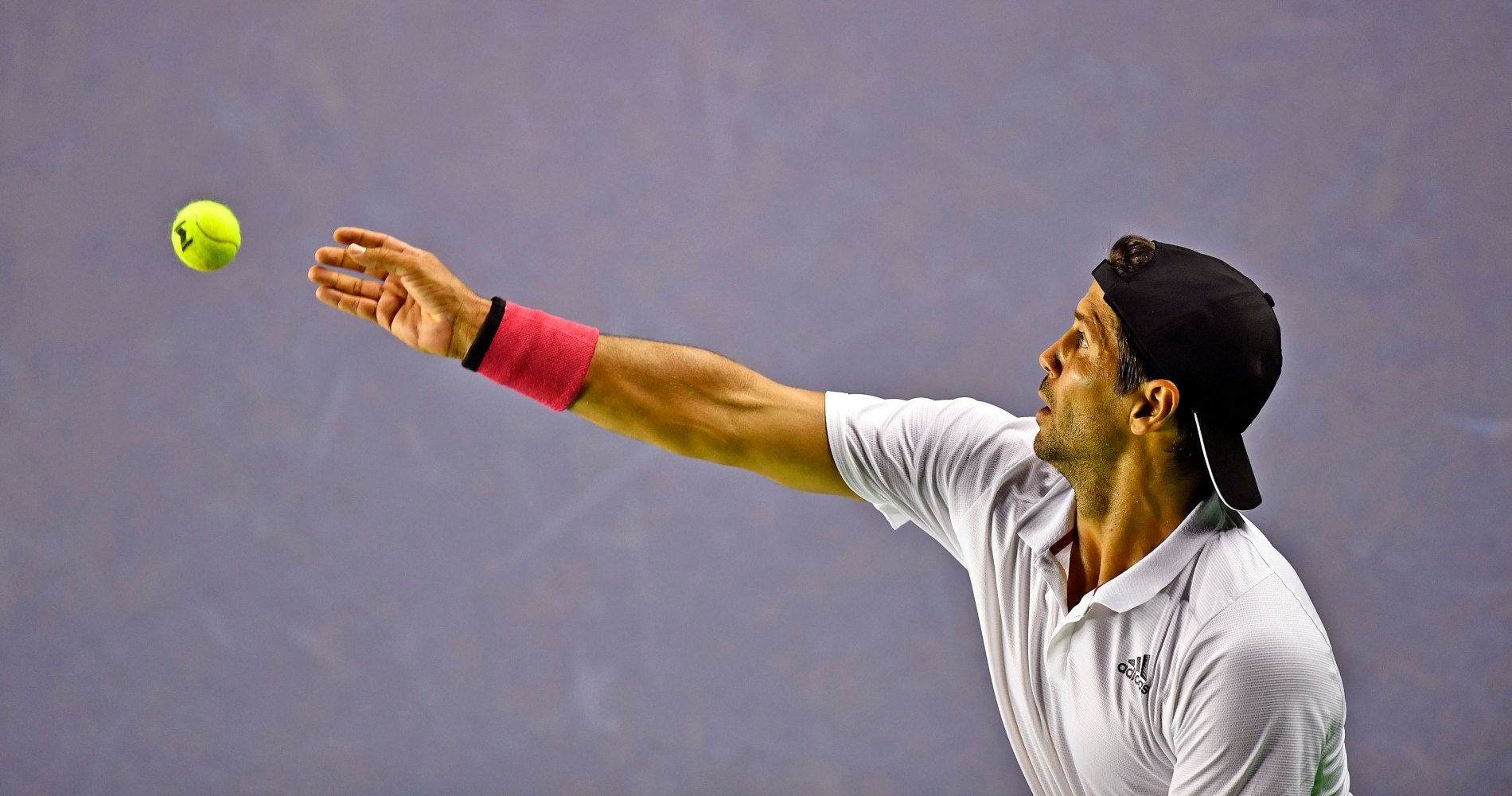 Fernando Verdasco - UTS 2