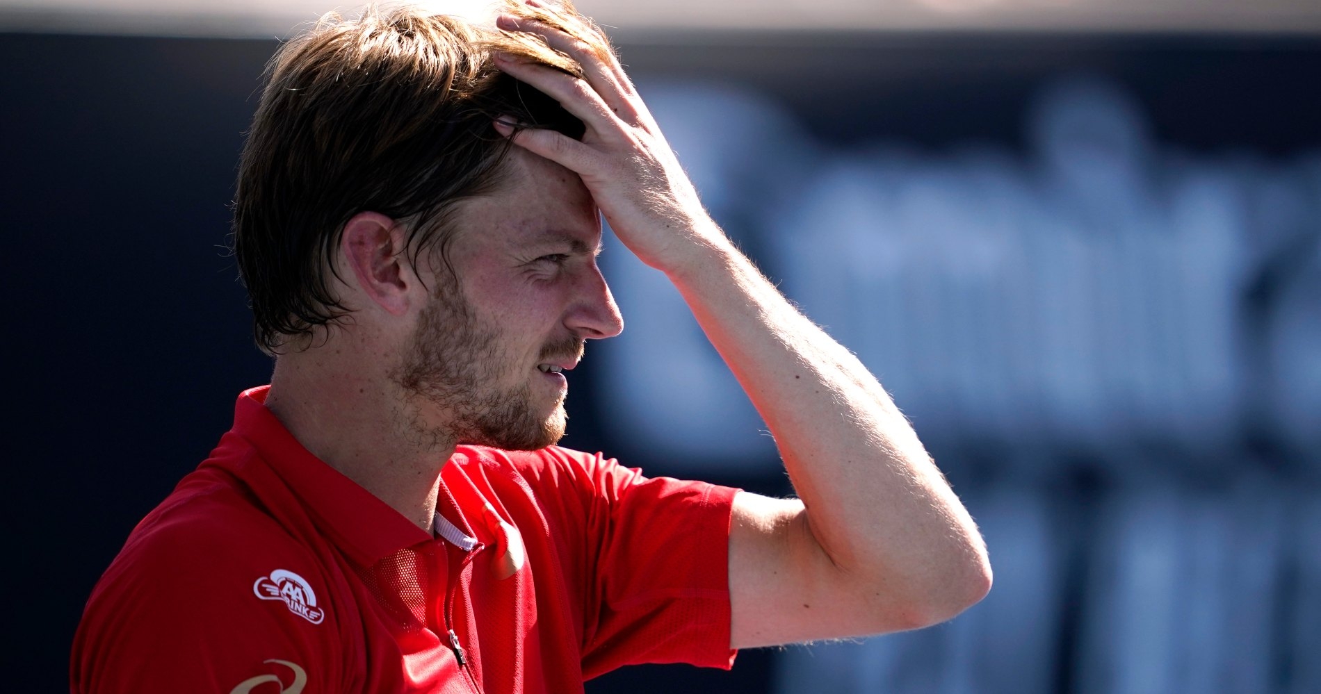 David Goffin, Australian Open 2020