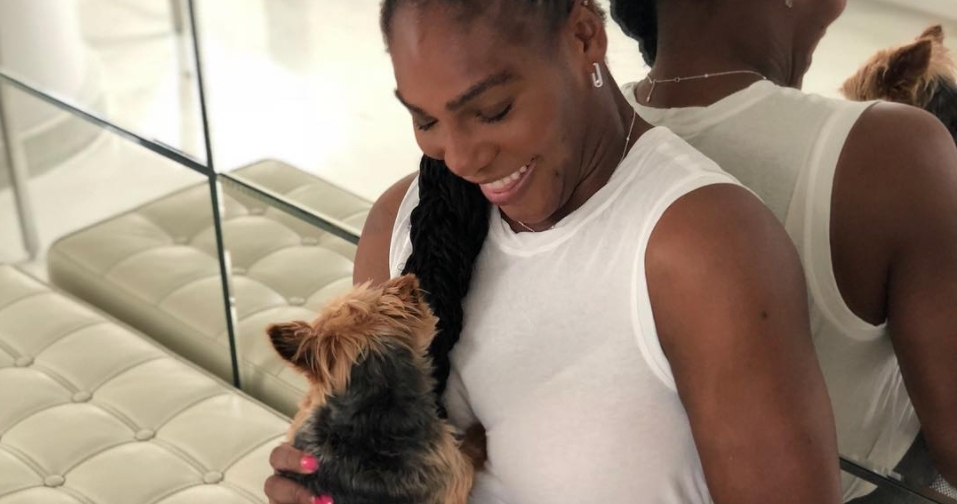 Serena Williams, Instagram