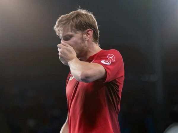 David Goffin