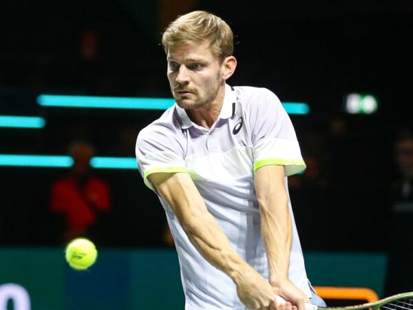 David Goffin backhand