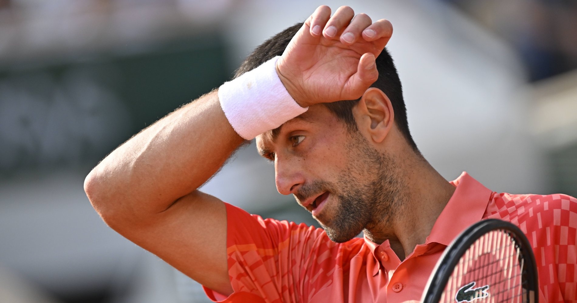 Djokovic beats cramping Alcaraz to reach French Open final, News