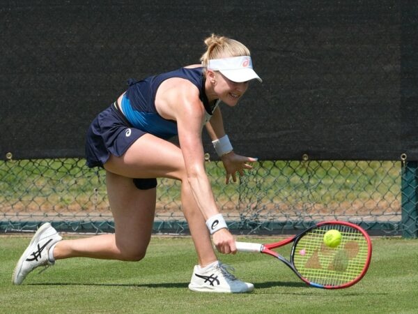 Harriet Dart grass