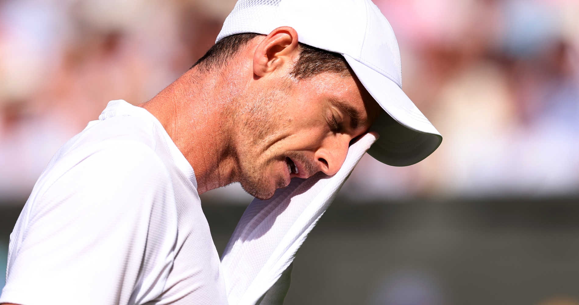 Andy Murray abdominal strain