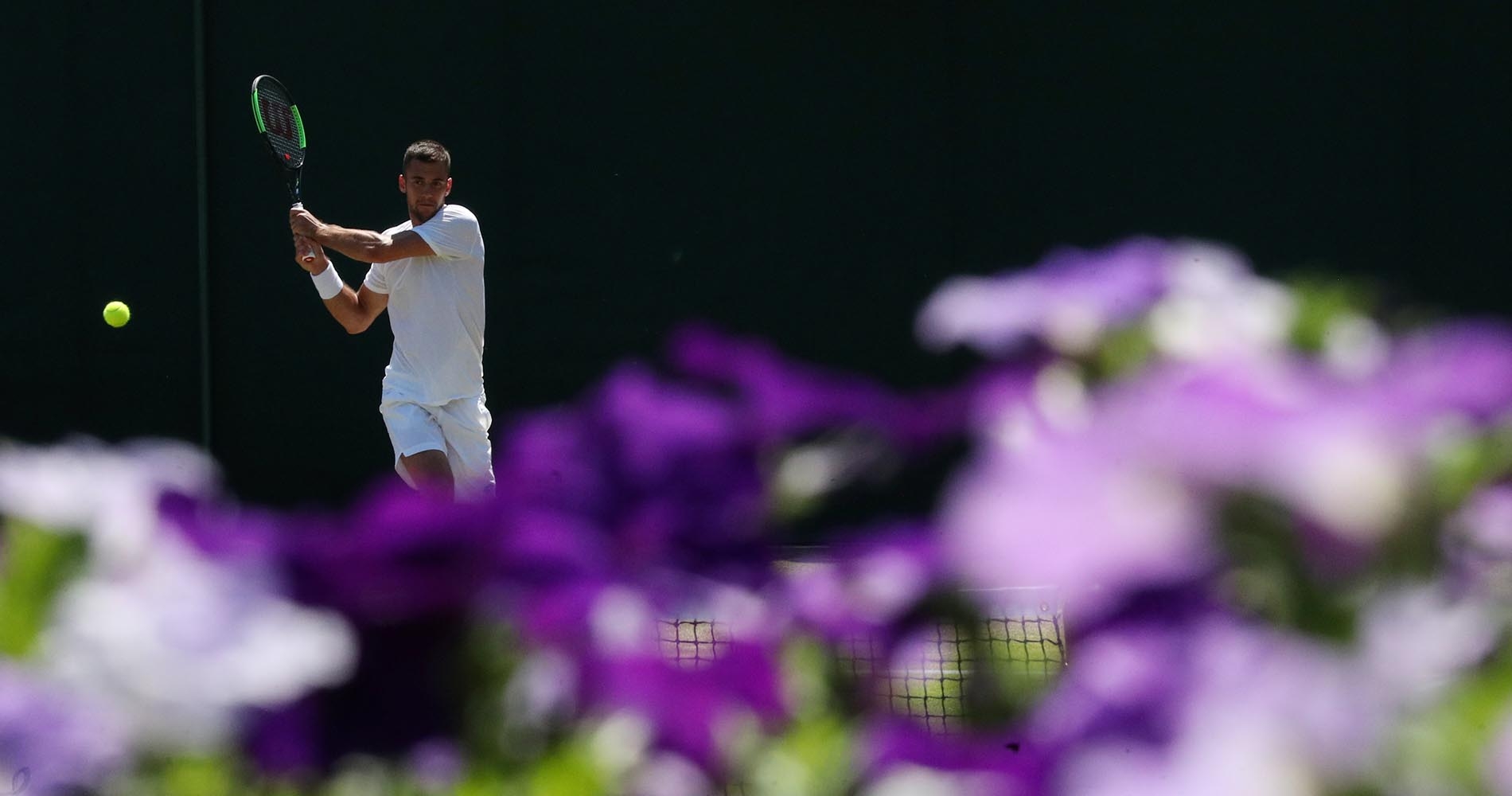 Djere Wimbledon | AI / Reuters / Panoramic