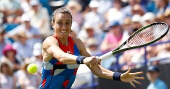 Petra Martic - Zuma / Panoramic