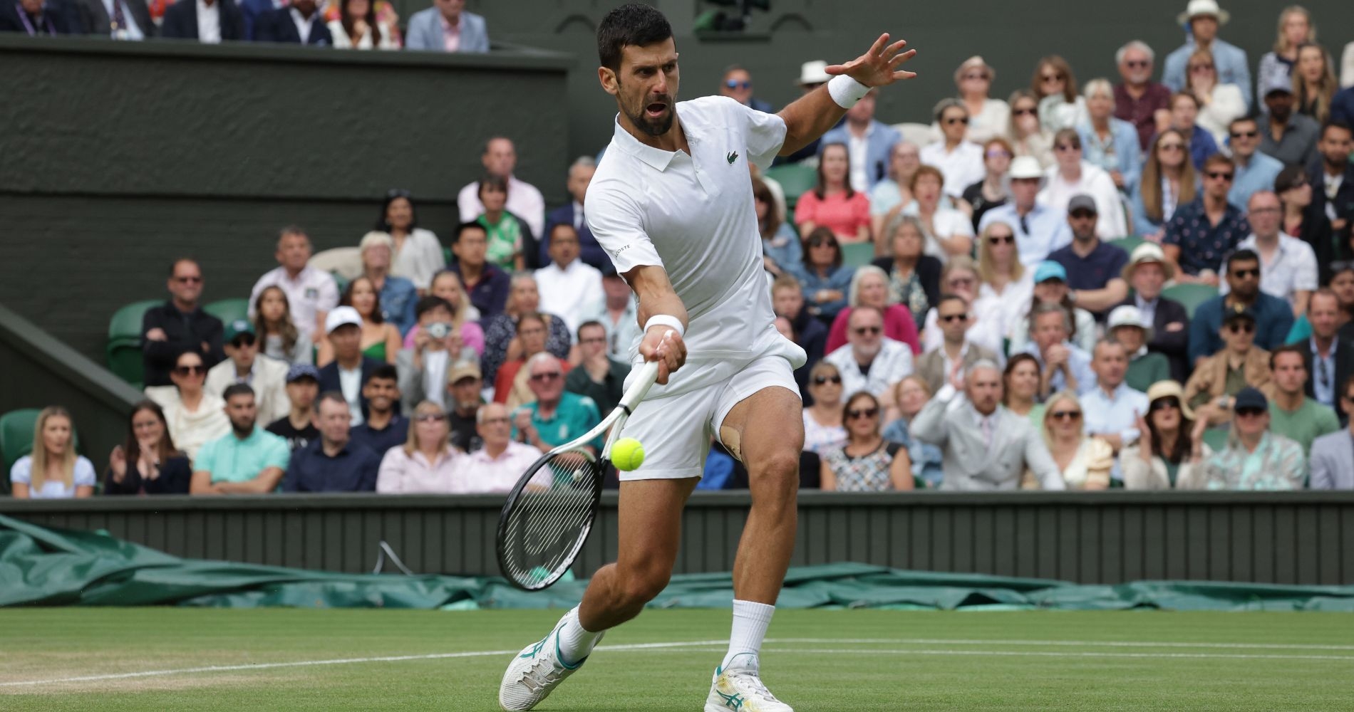 Novak Djokovic Wimbledon 2023 - Action Plus / Panoramic