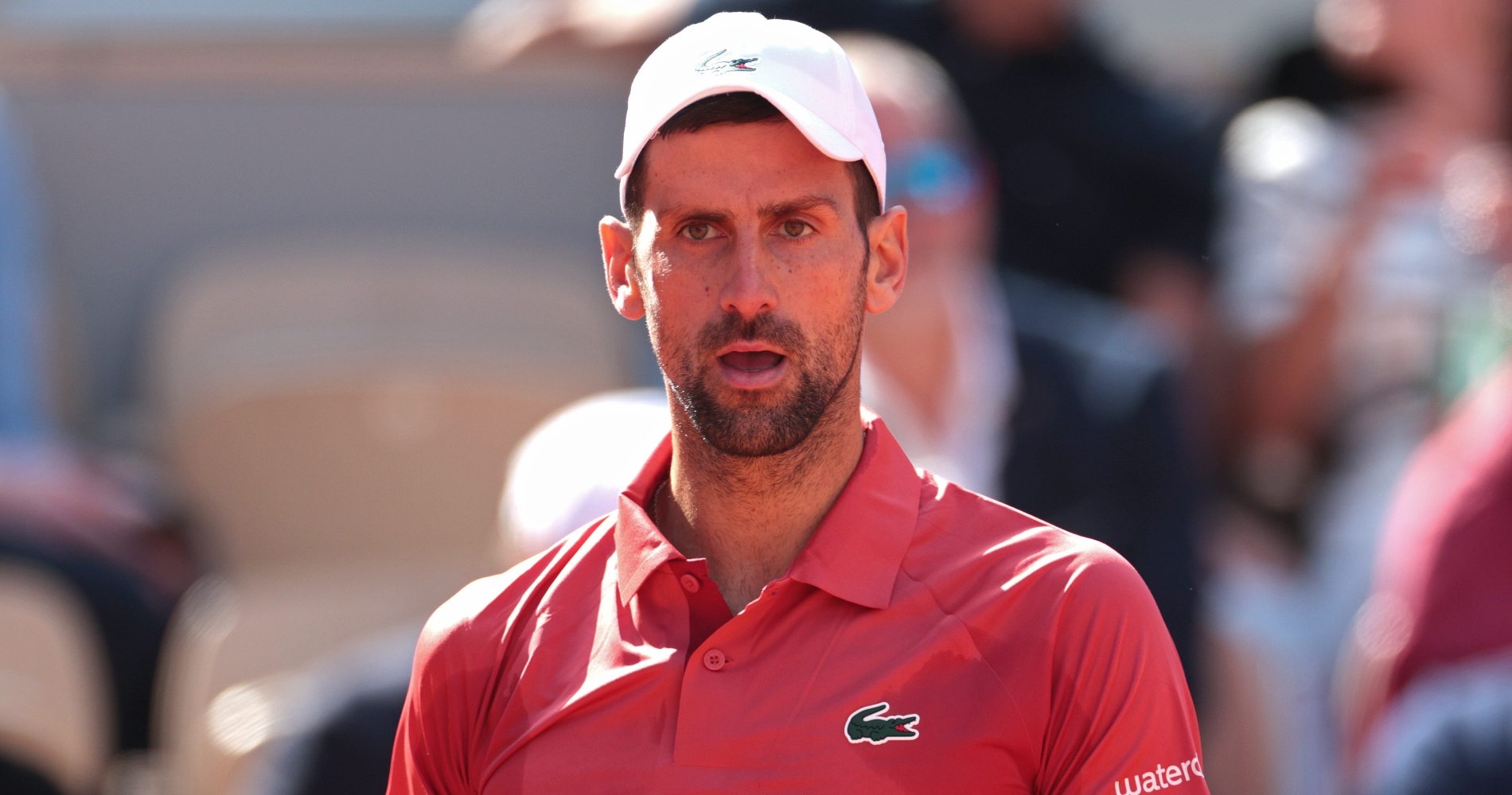 Djokovic (knee) withdraws from Roland-Garros