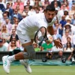 Djokovic Wimbledon final 2024