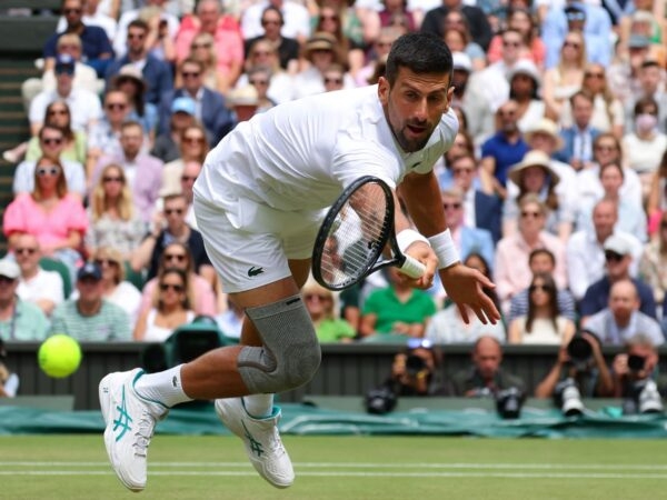 Djokovic Wimbledon final 2024