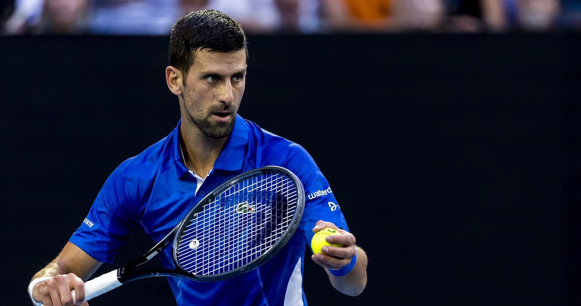 Novak Djokovic, Open d'Australie 2024