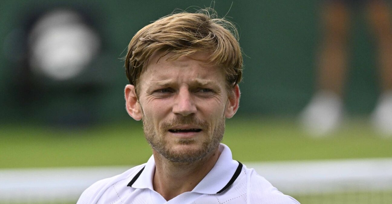 David Goffin Wimbledon 2024