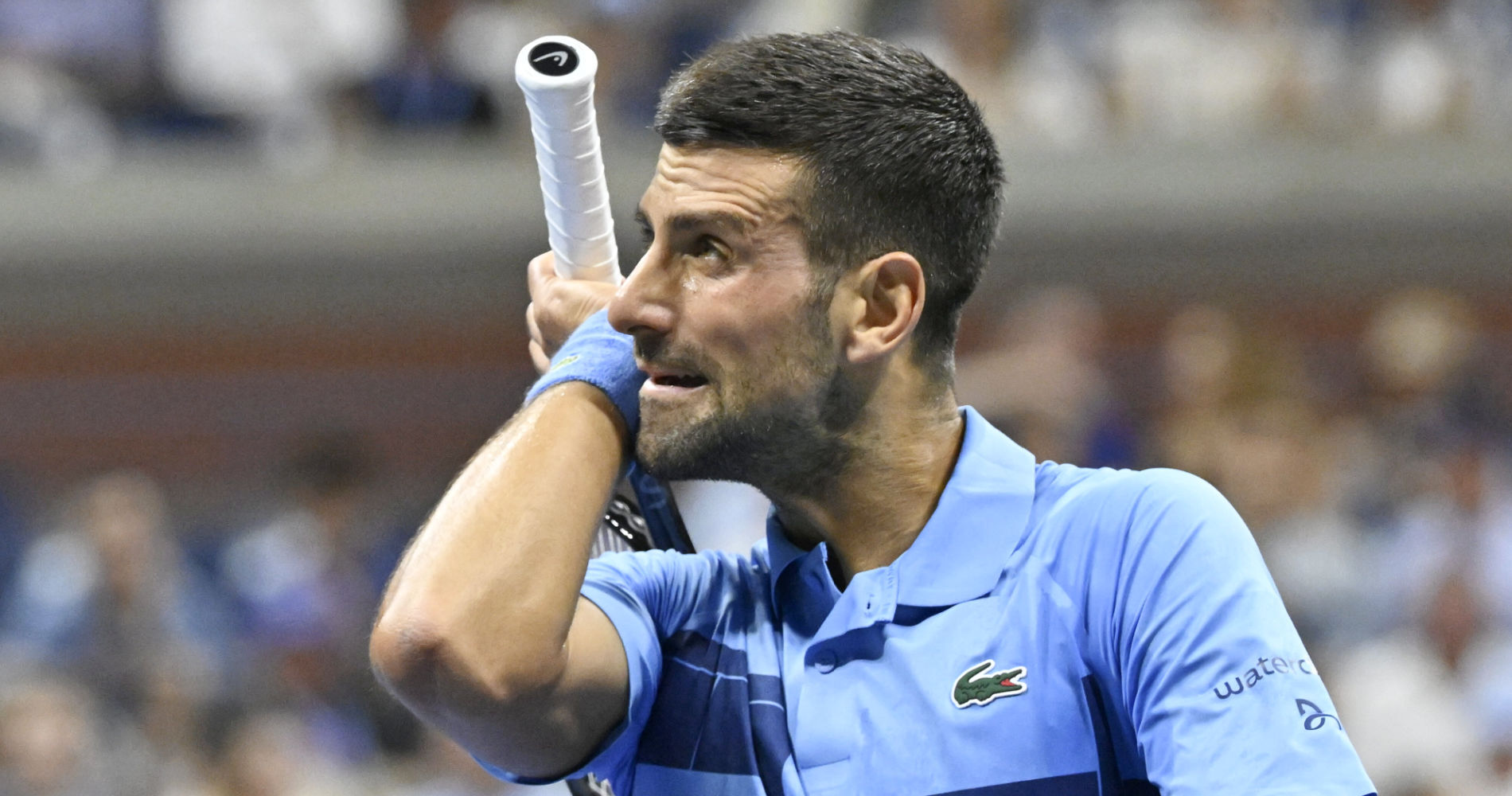 Novak Djokovic, US Open 2024 (Chryslene Caillaud / Panoramic)